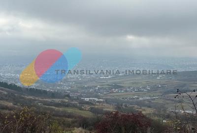 Teren extravilan 503 mp, zona centru CREIC - 4