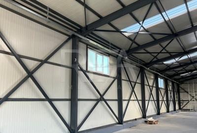 Hala de Vanzare Centura  / Magurele - 4