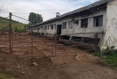 Casă cu 5 camere în Central - 1