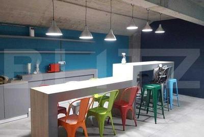 Apartament cu 3 camere semidecomandat în Calea Severinului - 11