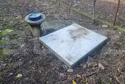 Pachet complet: casa + 800 mp Cocorastii Colt - 4