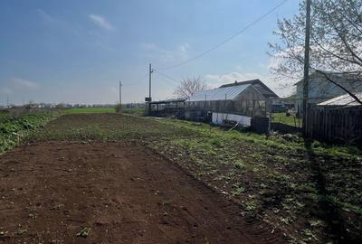 Teren TUNARI  600 mp - 7