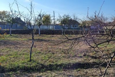 Vând teren intravilan suprafață 1414mp în Sânpetru Mare, jud.Timiș . - 3