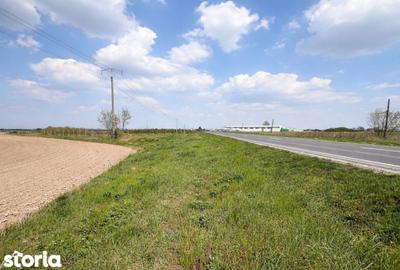 Teren de 6364 mp, în Nojorid