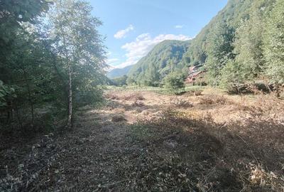 Teren de 4400 mp, în Cugir - 2