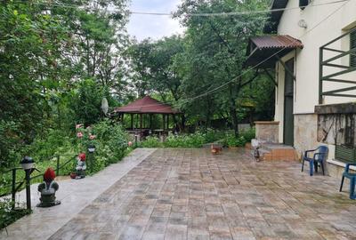 Casă cu 4 camere în Provița de Jos - 8
