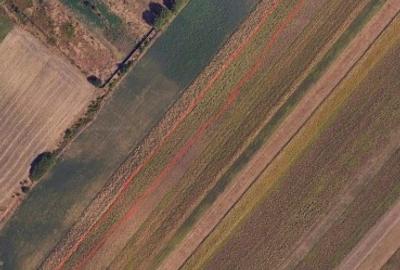 Teren agricol intravilan de 5000 mp, în Mihai Eminescu - 2