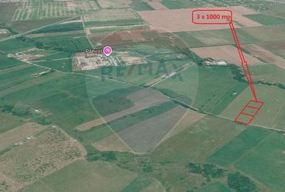 Teren agricol extravilan de 3000 mp, în Pănicel - 15