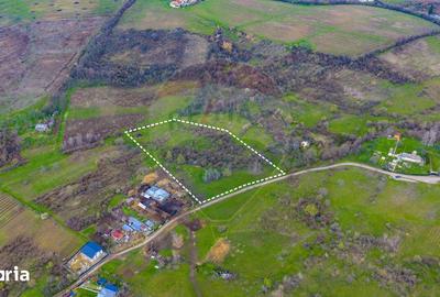 Teren de 33500 mp, în Bucov - 5