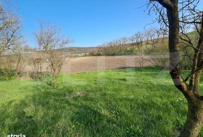 Casă cu 4 camere în Nandra - 19