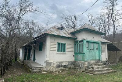 Casă cu 4 camere cu Teren 5000 Mp în Roești - 1