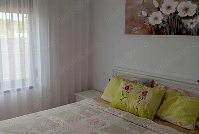 Vand casa zona Oncea - 9