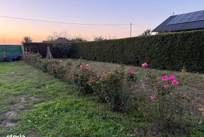 Spațiu comercial, în Vânători - 3