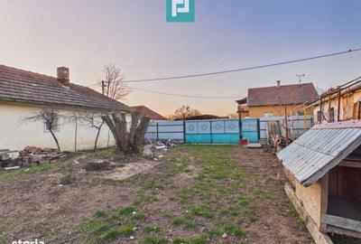 Casă cu 7 camere cu Teren 3141 Mp în Macea - 14