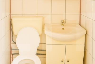 Casa 3 camere la cheie, cu teren si posibilitate mansardare – zona Carol - 12