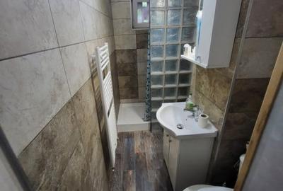 Apartament cu 2 camere nedecomandat, mobilat în Alecu Russo - 5