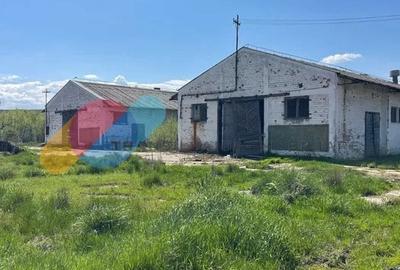 Teren Construcții intravilan de 16382 mp, în Mihăiești - 7