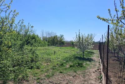 Casă cu 2 camere în Cornești - 6