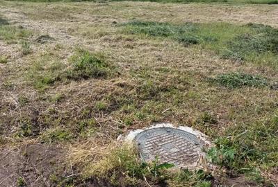 Teren de 900 mp, în Dumbrăvița