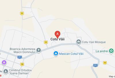 Casă individuală cu 3 camere cu Teren 2000 Mp în Cotu Văii - 1