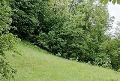 Vand casa de vacanta Prahova Vand casa de vacanta Prahova - 4