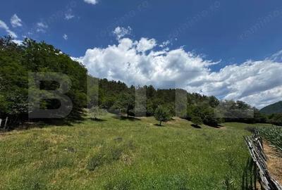 Casa cu 6000 mp teren, Poiana Ampoiului - Metes - 6