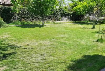 Casă cu 6 camere cu Teren 3000 Mp în Grădiștea - 10