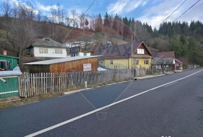 Teren de 711 mp, în Hangu - 5