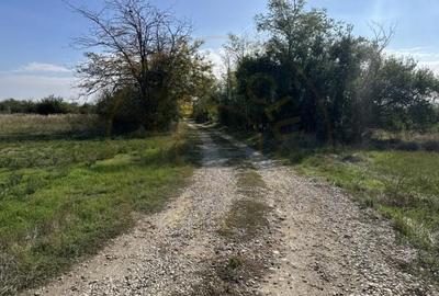 Teren de 3700 mp, în Nejlovelu - 2