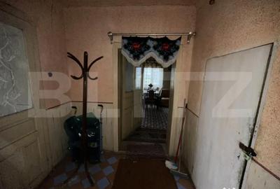 Casă cu 4 camere cu Teren 3000 Mp în Cășeiu - 9