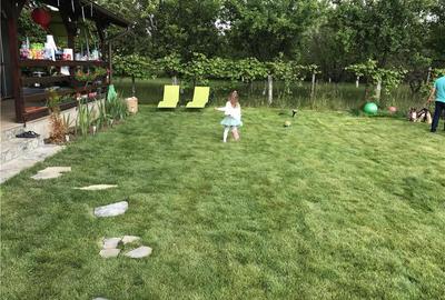 Casă cu 7 camere cu Teren 415 Mp în Găneasa - 2