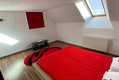 Casa ideala pentru familie cu copii si/sau antreprenori - 10