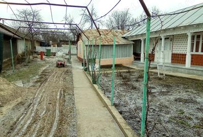 Casă în Cudalbi - 5