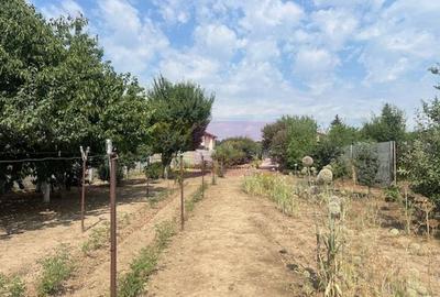 Teren cu casa parter si anexe Zurbaua- Ilfov. - 10