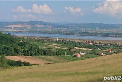 Teren de 8743 mp, în Central - 6