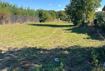 Teren Construcții intravilan de 1000 mp, în Snagov - 1