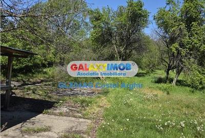 Vindem teren intravilan 3600 mp Calinesti , deschidere 58 m - 1