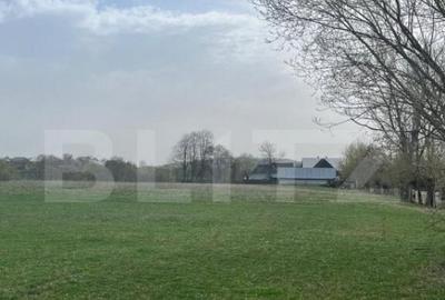 Teren intravilan- Horodnic de Jos (pre? negociabil) - 3