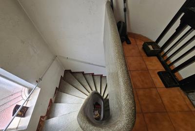 Central-Piata ALBA IULIA-Vanzare vila interbelica cu 2 apartamente individuale! - 12