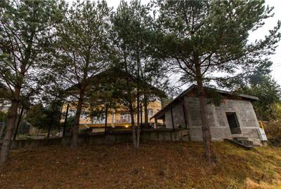 Resedinta cu atmosfera familiara,peisaj imersiv,amplasare pr - 4