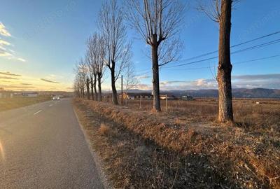 Vanzare teren intravilan 2,5 ha - infrastructura industriala ?i hala func?ionala - 1