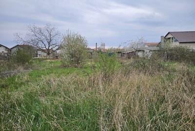 Spațiu comercial, în Biharia - 9