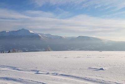 Teren de 470000 mp, în Moisei - 9