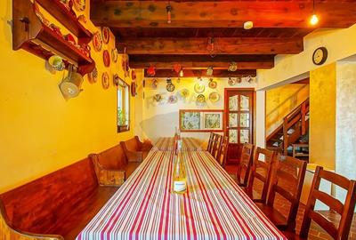 Casă cu 9 camere cu Teren 888 Mp în Sohodol - 36