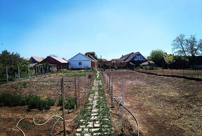 Casă cu 4 camere în Central - 5