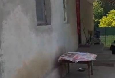 Casă cu 2 camere cu Teren 1420 Mp în Zam - 5