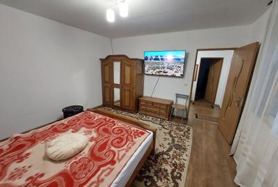 Casă cu 2 camere în Valea Moșneagului - 2