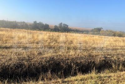 Teren Construcții intravilan de 2500 mp, în Bucovăț - 1