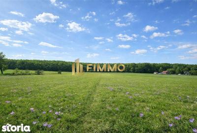 Teren de 3200 mp, în Mitocu Dragomirnei - 2