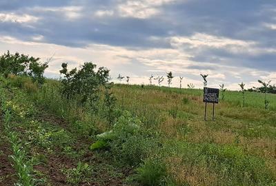 Teren de 2900 mp, în Exterior Vest